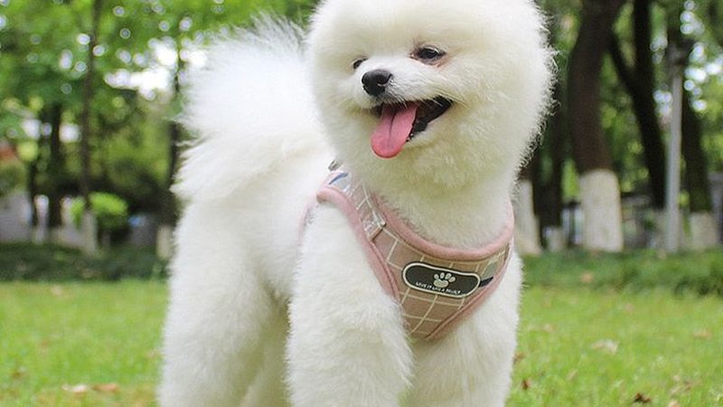 冷冻库代理费用明细表揭秘：成本构成与合理预算